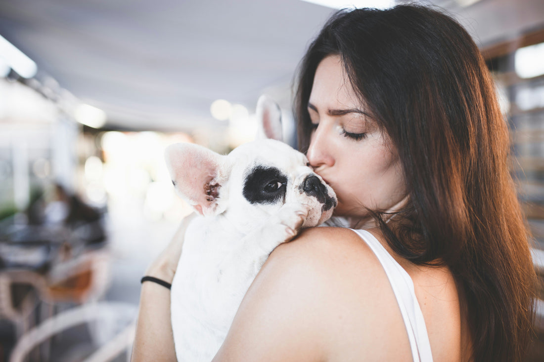 4-18  Canine Joint Care : A Guide to Custom Supplements and Braces for Hip & Patella Health