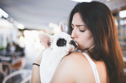 4-18  Canine Joint Care : A Guide to Custom Supplements and Braces for Hip & Patella Health