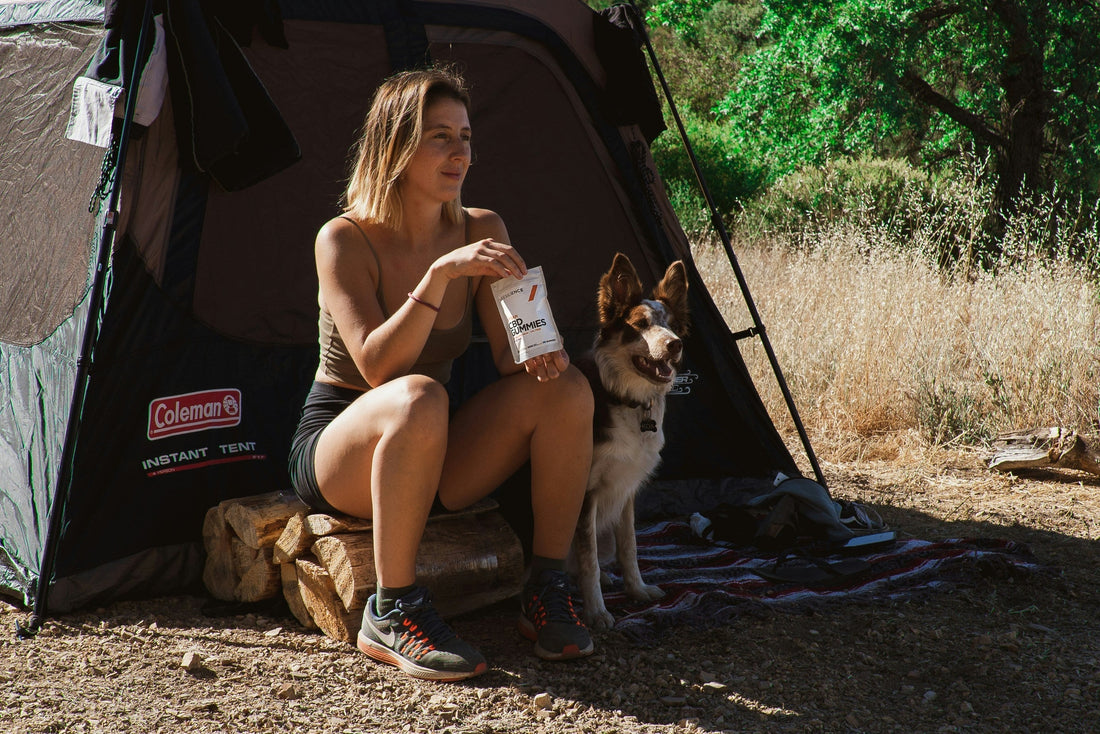 4-19 Adventure Bound : Essential Safety Gear for Car Camping and Camping with Your Dog