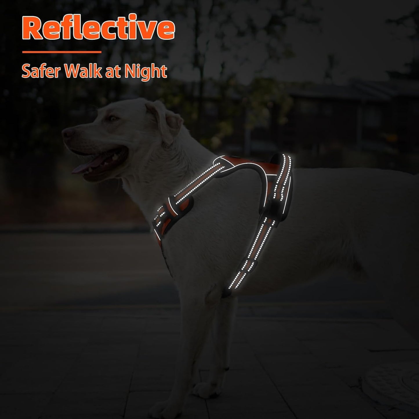 PUPTECK No Pull Dog Harness Small Sized, Adjustable Reflective Dog Harness with Handle Easy Control, Comfortable Soft Padded Pet Vest Harness for Small Dogs, Orange S