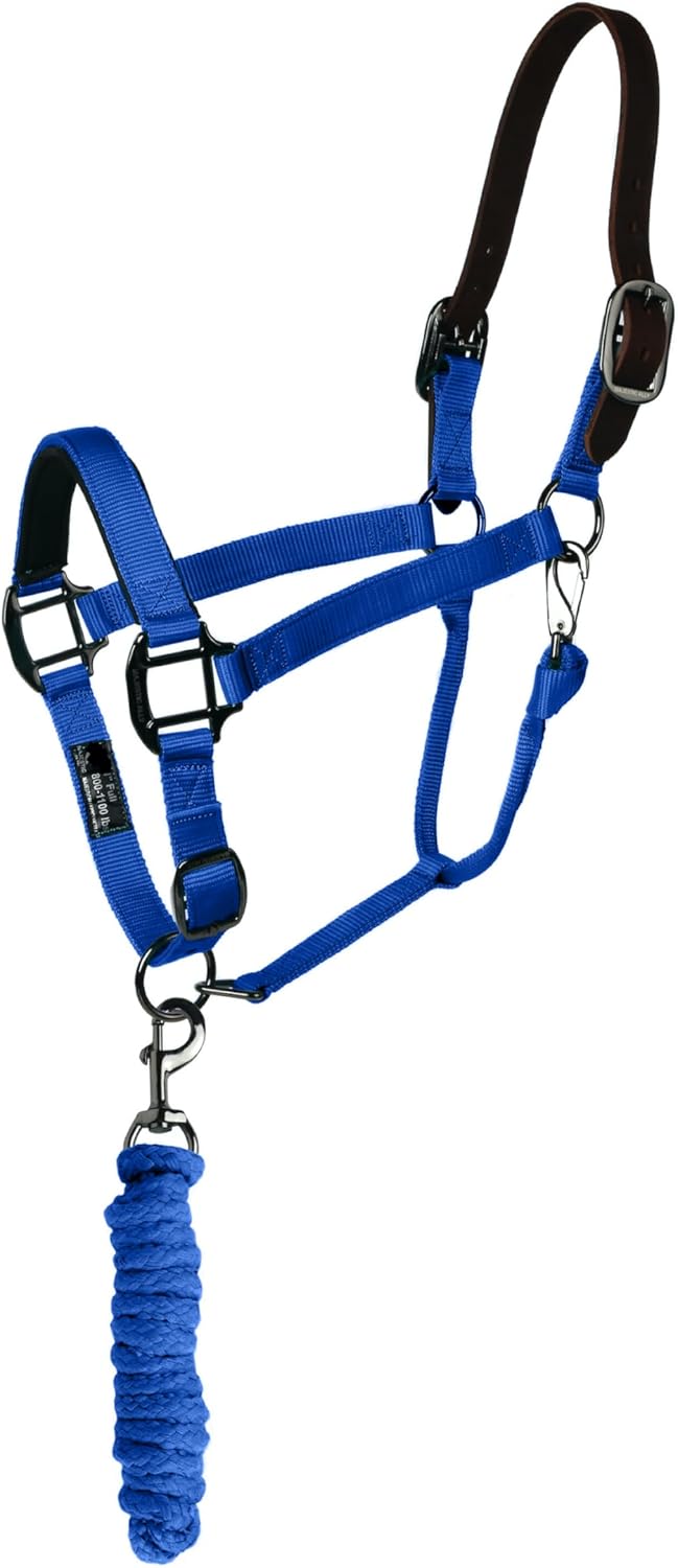 Majestic Ally Leather Halter with Matching Lead Rope for Horses – Leather Breakaway Crown - Adjustable Chin Strap – Rolled Throat Latch – Padded Noseband – Full (Royal Blue, Full)