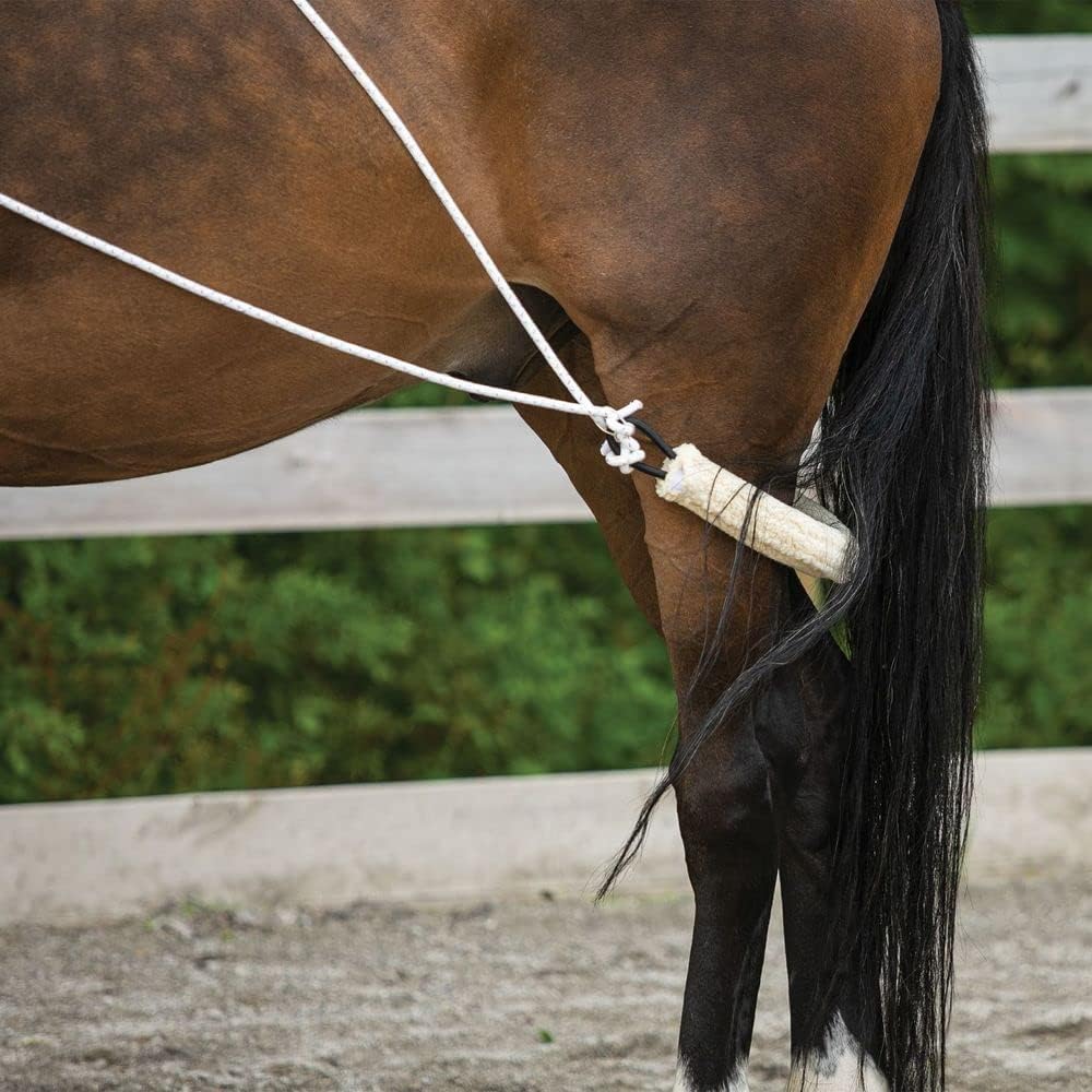 Advanced European Training System | Advanced Training Tool | Enhances Horse Carriage and Headset | Encourages Forward Movement | Strengthens Key Muscles | Not for Beginners