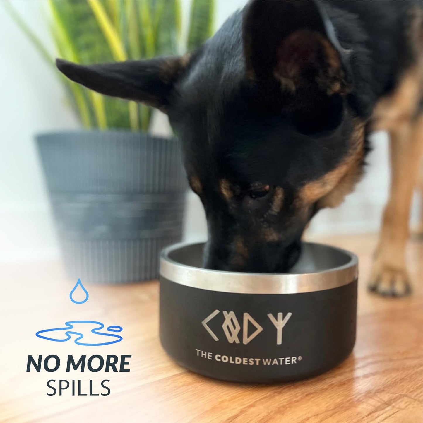 Coldest Dog Bowl - Anti Rust Metal, Non Slip, 3 Layers Insulated Stainless Steel Dog Bowls - Spill Proof & Heavy Duty - Water Bowl for Dogs, Cats & Pets, Dish Washer Safe (42 oz, Sahara Peach)