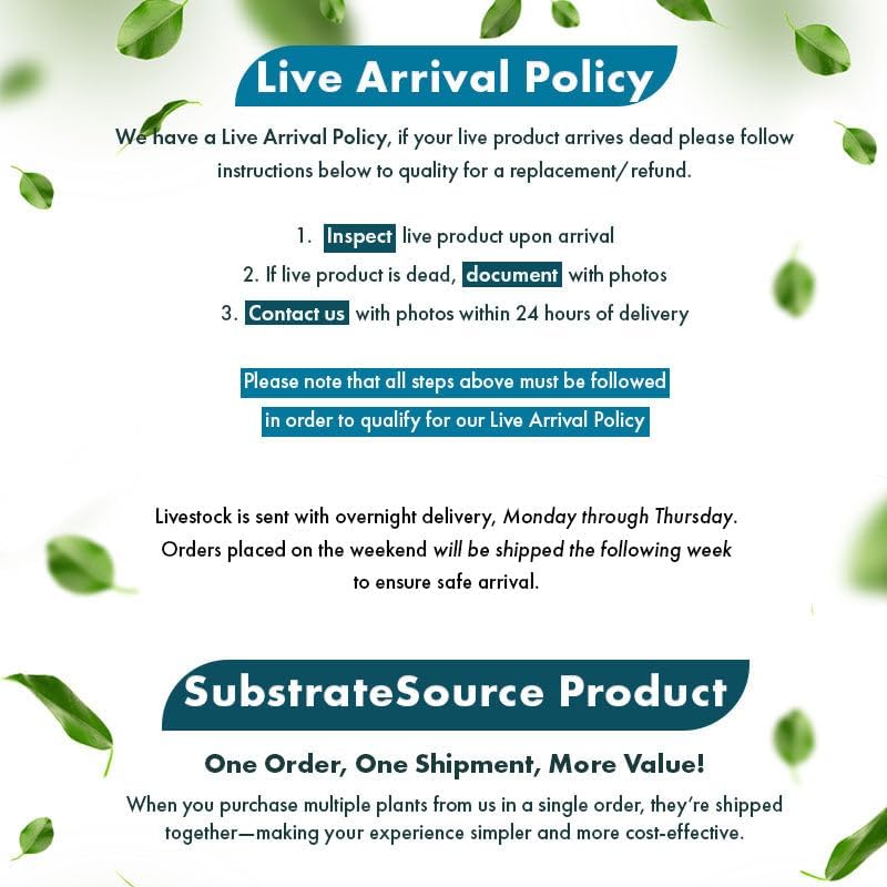 SubstrateSource Live Plants – Aponogeton Ulvaceus (Aponogeton ulvaceus) – Medium to High Light, Bright Green Color Accent, Midground to Background Placement, Wavy Leaf – Bulb/Bunch, 1 Pack