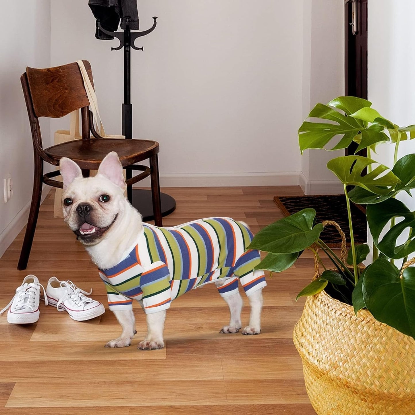 TONY HOBY Dog Pajamas, Dog Jumpsuit, Colorful Dogs Shirt, Dogs Surgery Recovery Suit for Small Medium Breeds (Blue&White, Boy, M)