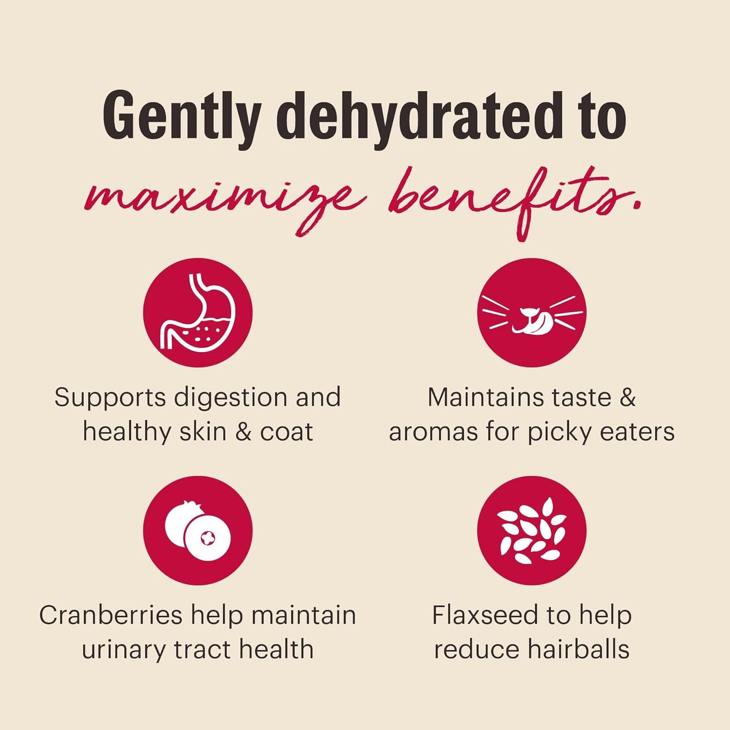 The Honest Kitchen Dehydrated Grain Free Chicken Cat Food 4 Pound (Pack of 1)