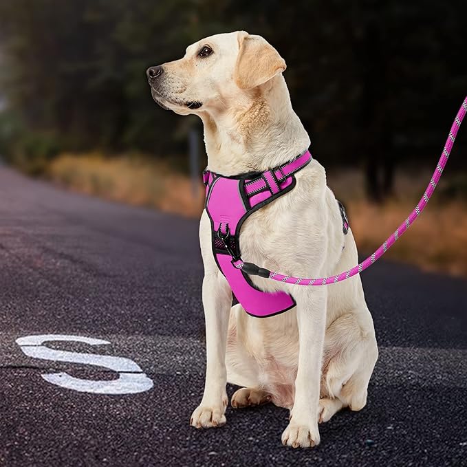 IVY&LANE No Pull Dog Harness for Small Dogs, Dog Vest Harness with Leash, Safety Belt and Storage Strap, Fully Adjustable Harness, 360° Reflective Strip, Soft Handle (Fuchsia Pink,S)