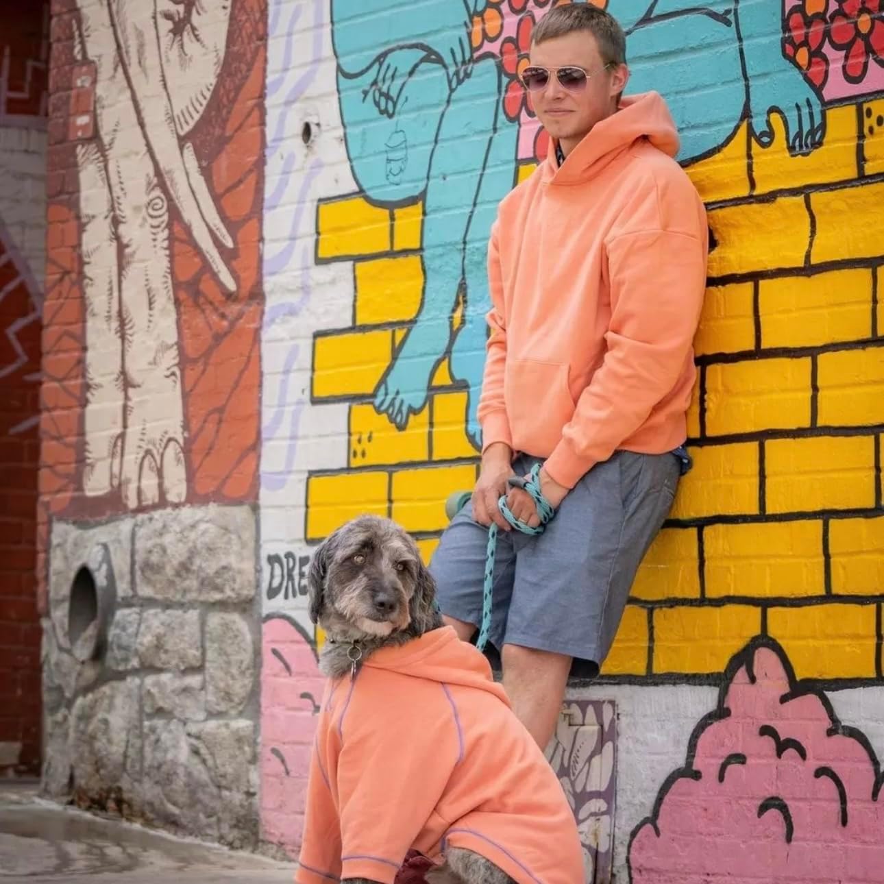 Blueberry Pet Dog Hoodie – 20″ Cotton‑Blend Mid‑Weight Sweatshirt with Hood, Award‑Winning Small‑Dog Jacket, Machine‑Washable