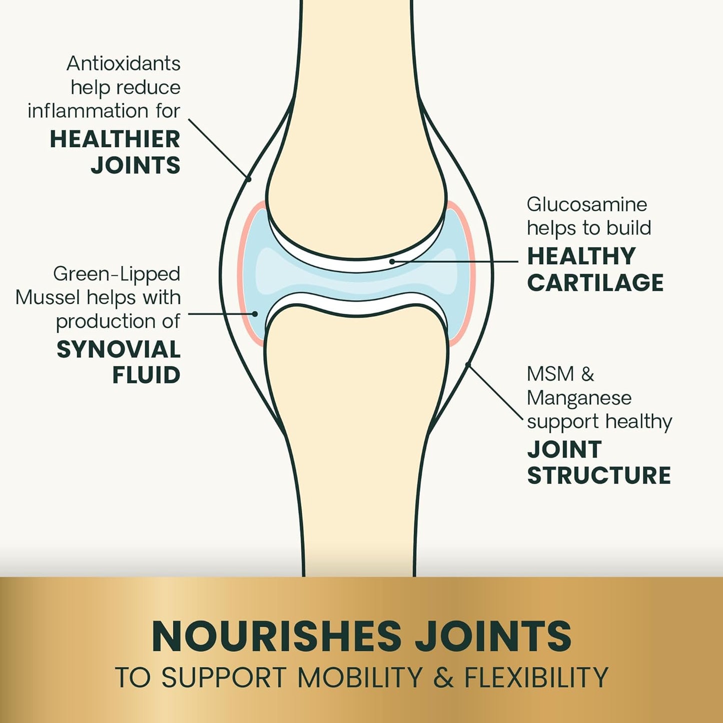 VetriScience Ultimate Strength Healthy Hip & Joint Chewable Tablets, GlycoFlex Glucosamine, Chondroitin and Green-Lipped Mussel Joint Supplement for Dogs, Soothe Joint Discomfort, Chicken, 120 Count