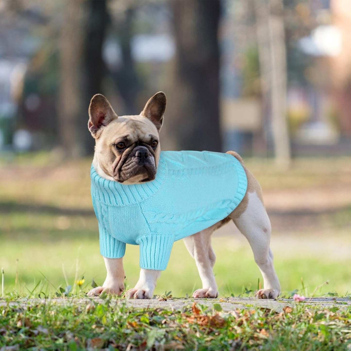 Queenmore Dog Sweater for Large Size Pet,Pitbull Dog Sweater,XXL Doggy Sweater for Labrador Retriever,Cold Weather Warm Knitted Pet Sweatershirt for Boy Girl Dogs (Sky Blue,2XL)