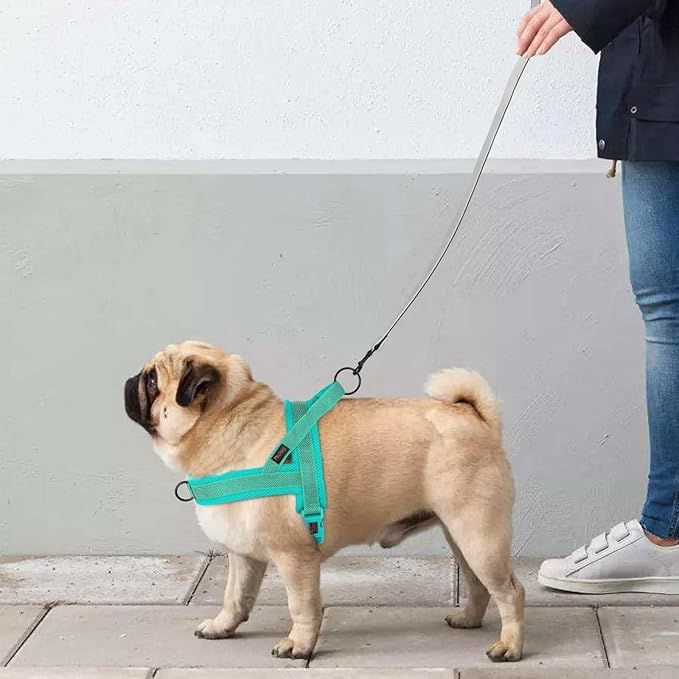 Didog No Pull Dog Harness with Breathable Mesh Padded, Full Reflective & Quick Fit Adjustable Vest Harness, Easy for Training Walking for Small & Medium and Large Dogs (Green, M:Chest 21-26")