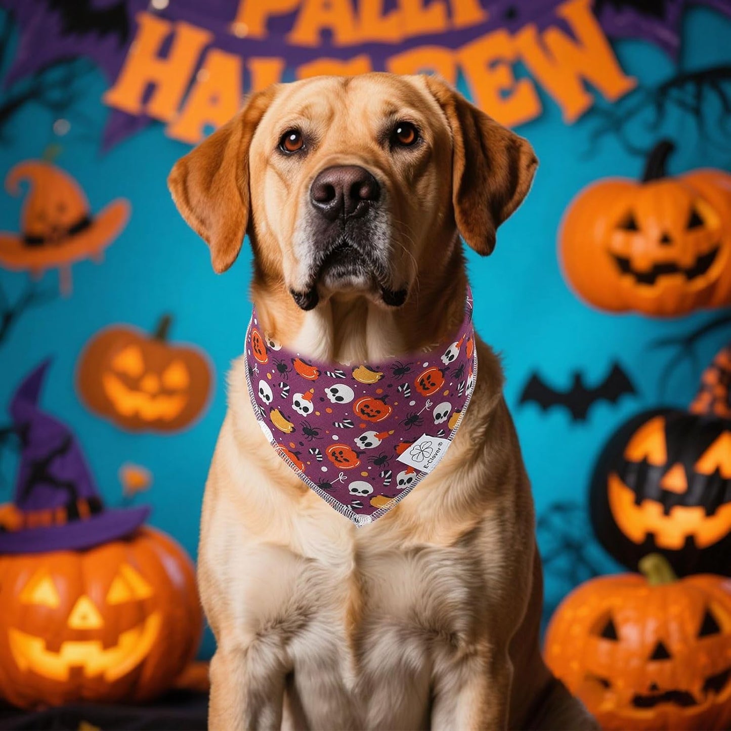E-Clover Halloween Dog Bandanas & Matching Scrunchie Set Girl Cute Pumpkin Dog Scarf Bibs Pet Bandana with Bow Tie for Medium Large Dogs Owner Mom Purple Orange