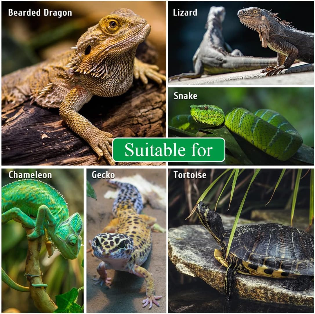 Turtle Basking Platform Large Tortoise Dock Resting Rock Turtle Climbing Ramp Shale Step Ledge Aquarium Terrarium Decor for Tortoise Bearded Dragon Lizard Chamelon Frog Gecko Snakes Iguana Betta Fish