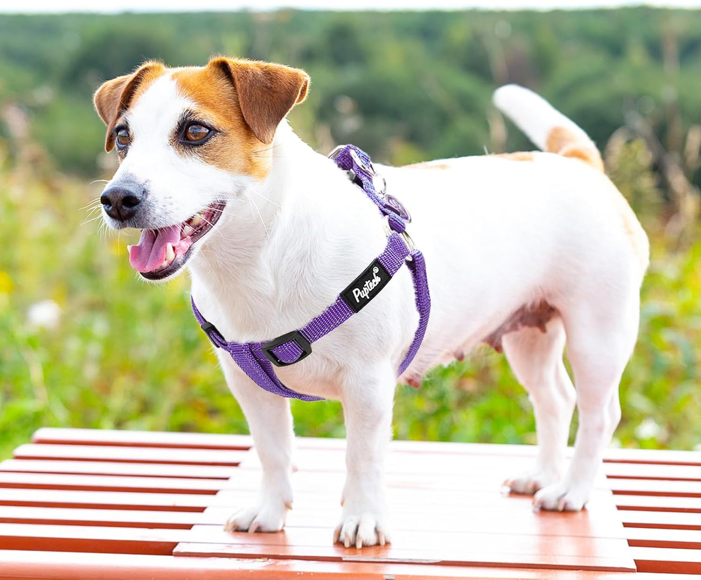 PUPTECK No Pull Dog Harness Soft Adjustable Basic Nylon Step in Puppy Vest Outdoor Walking with ID Tag, Reflecive Purple, S