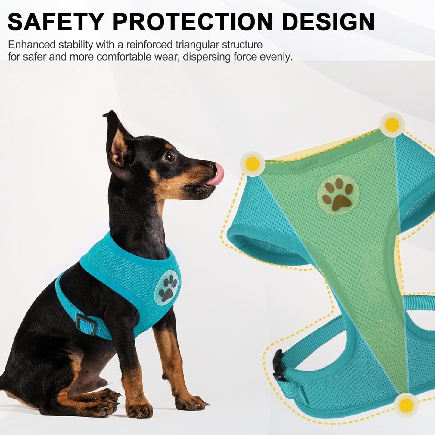 BINGPET Small Dog Harness - Breathable Mesh Puppy Cat Harnesses - No Pull Adjustable Dog Harness Dog Vest Harness for Small and Medium Dogs