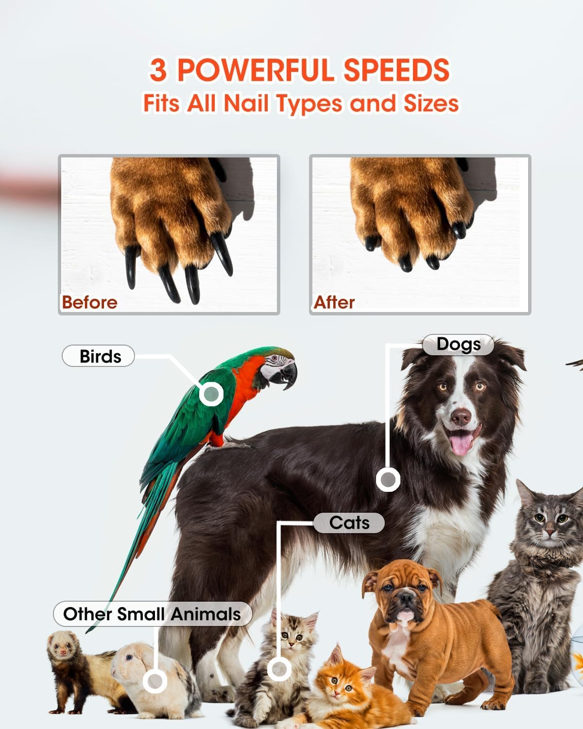 Super Powerful Dog Nail Trimmers and Dog Nail Clippers Combo, Ultra Quiet, 3 Speeds, 4 Bright Lights, with Travel Lock, for Small, Meddium and Large Dogs, Cats and Small Animals