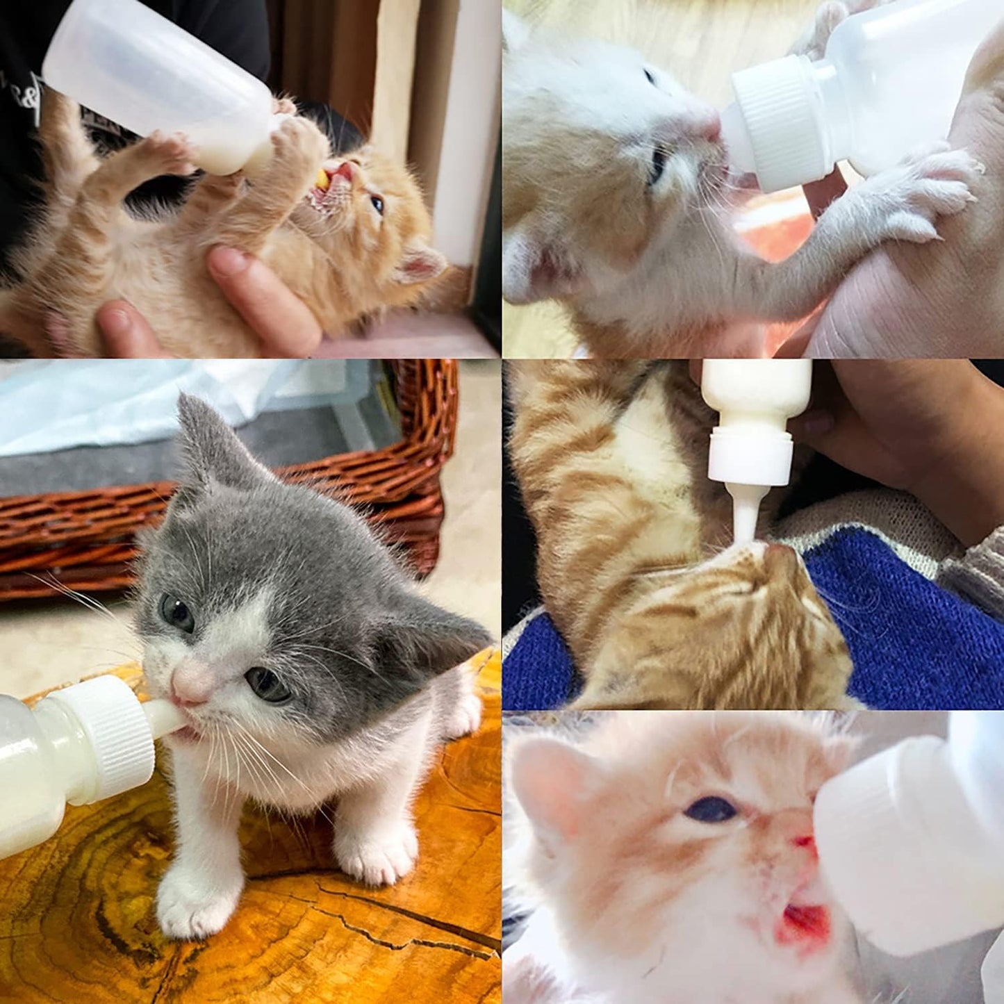 60ml Pet Feeding Bottle kit, pet Feeding Tool, Newborn Animal Feeder Practical, Replacement Pet Bottle with 10pcs Nipples