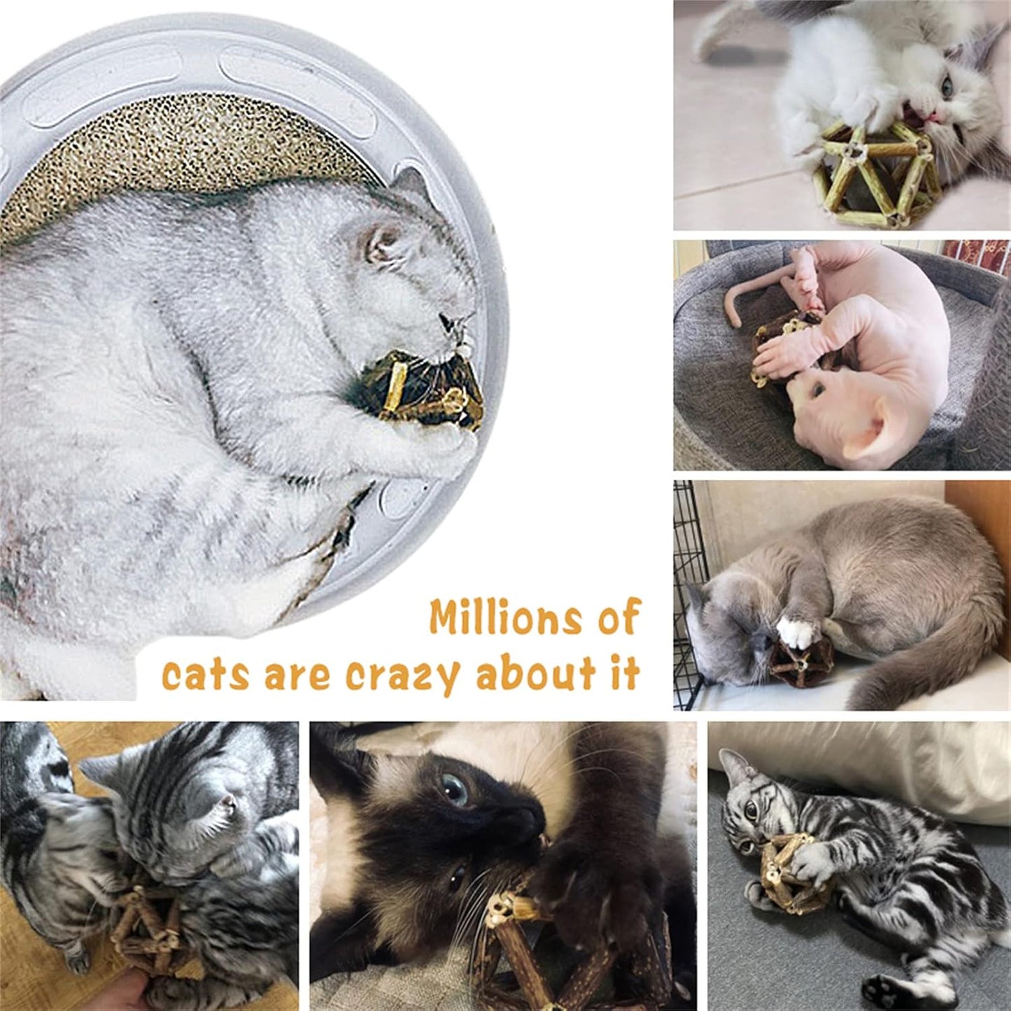 Catnip Toys-2Pcs Natural Silvervine Stick Catnip Ball&Bell Ball-Cat Toys for Indoor Cats- Cleaning Teeth Molar Tools Matatabi Cat Chew Toy-Kitten Toys All Breeds