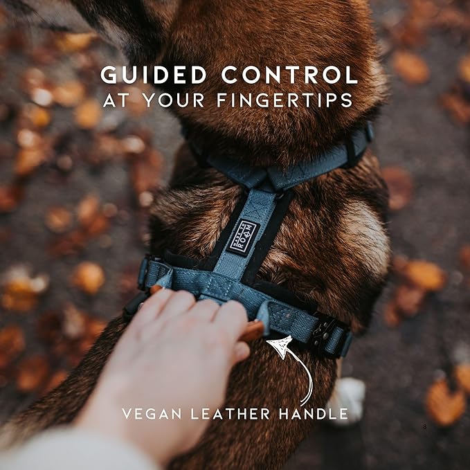 MADE TO ROAM Premium Explorer Harness - Y-Shaped Dog Harness with Adjustable Durable Nylon, Soft Padding, Metal Buckles and Leather Handle for Small, Medium, Large Dogs (Oregon Haze, Size 6)