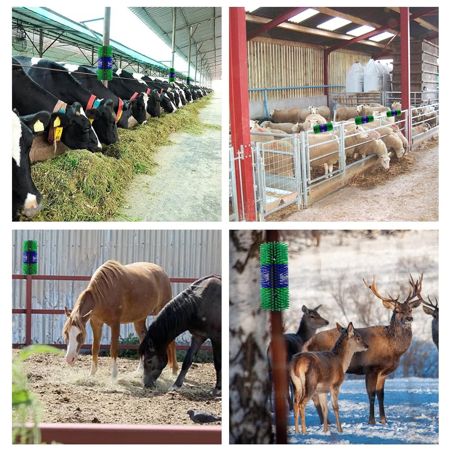 Livestock Scratching Brush, 17.5 x 7.8 Inch Goat Brushes for Grooming, Horse Brushes for Shedding, Livestock Brush with 4 Screws Great for Horse, Elk, Cattle, Pig, Sheep(Green)