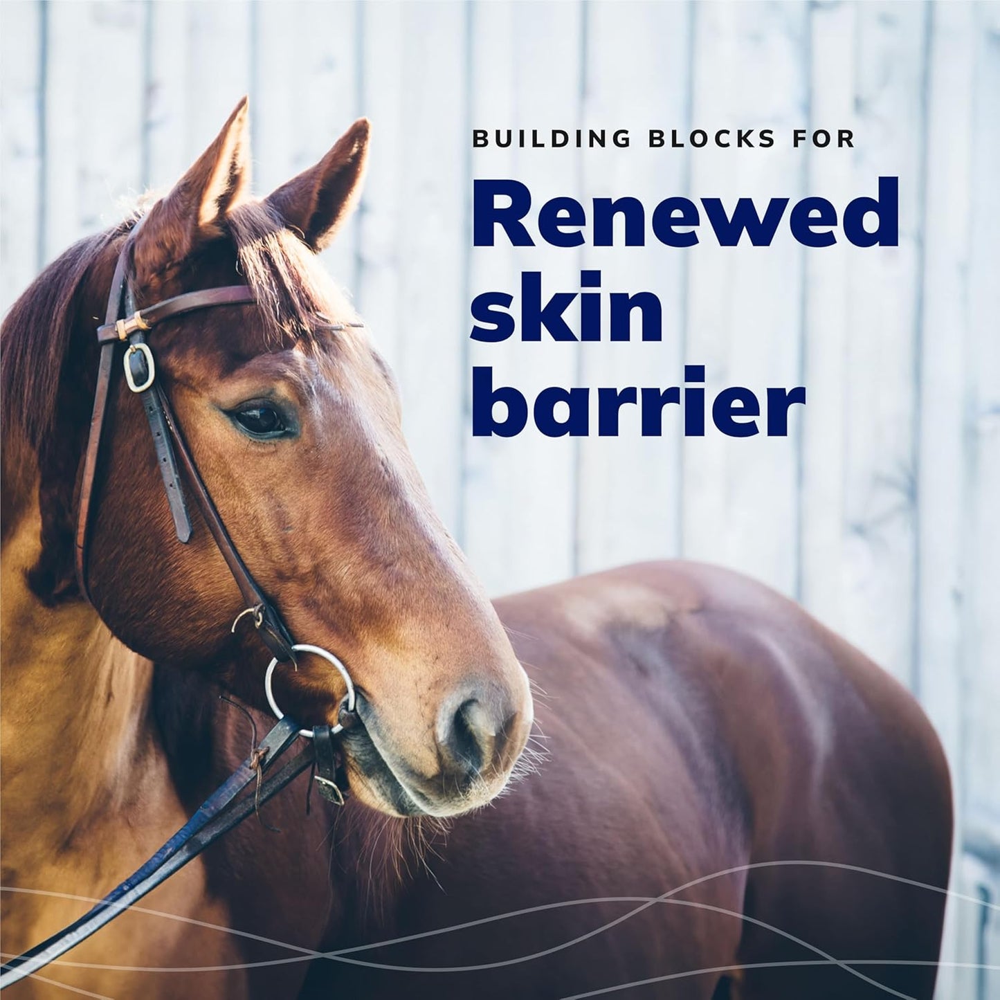 CeraSoothe CHX+KET Antiseptic Shampoo for Dogs, Cats, and Horses - 16oz