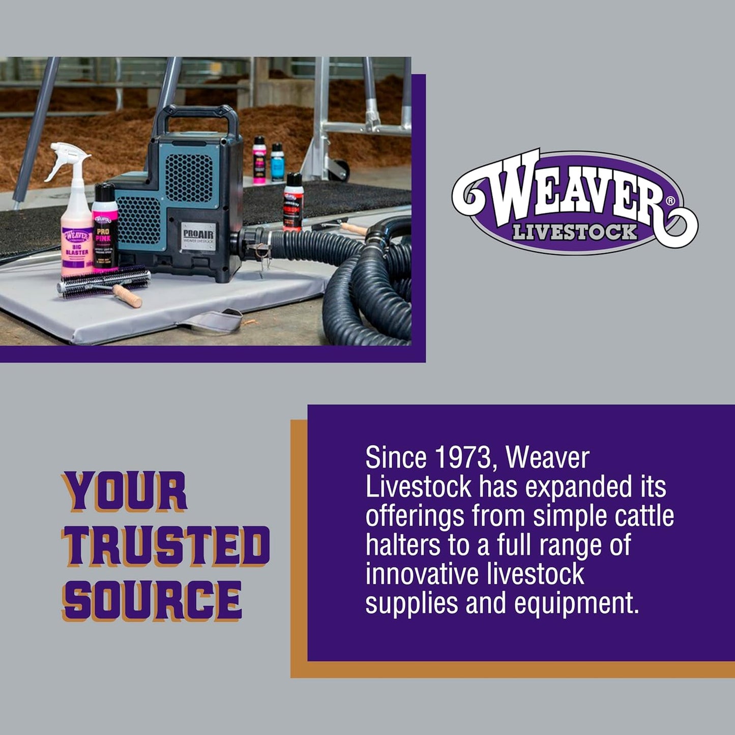 Weaver Leather Poly Rope Sheep Halter, Mint/Black/Gray