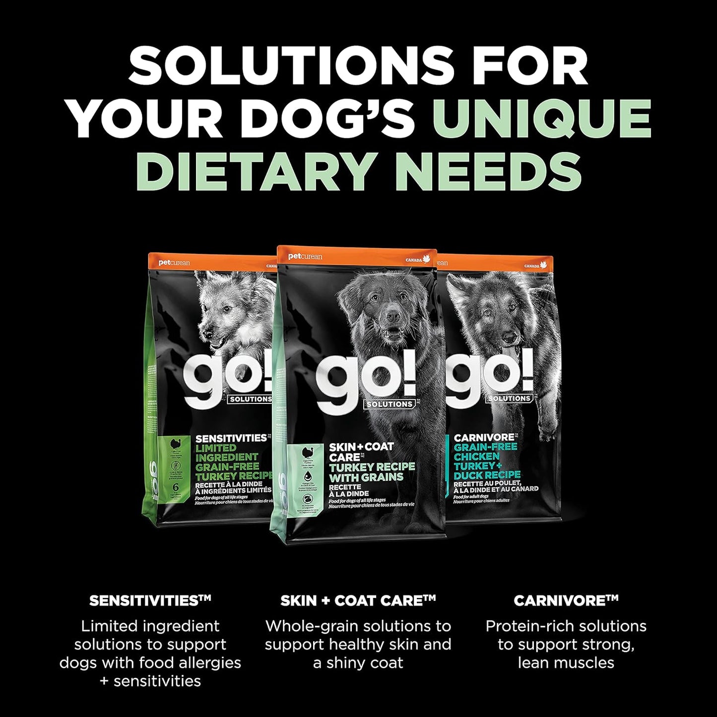 Go! Solutions Skin + Coat Care, Dry Dog Food, Turkey Recipe with Grains, 22 lb Bag