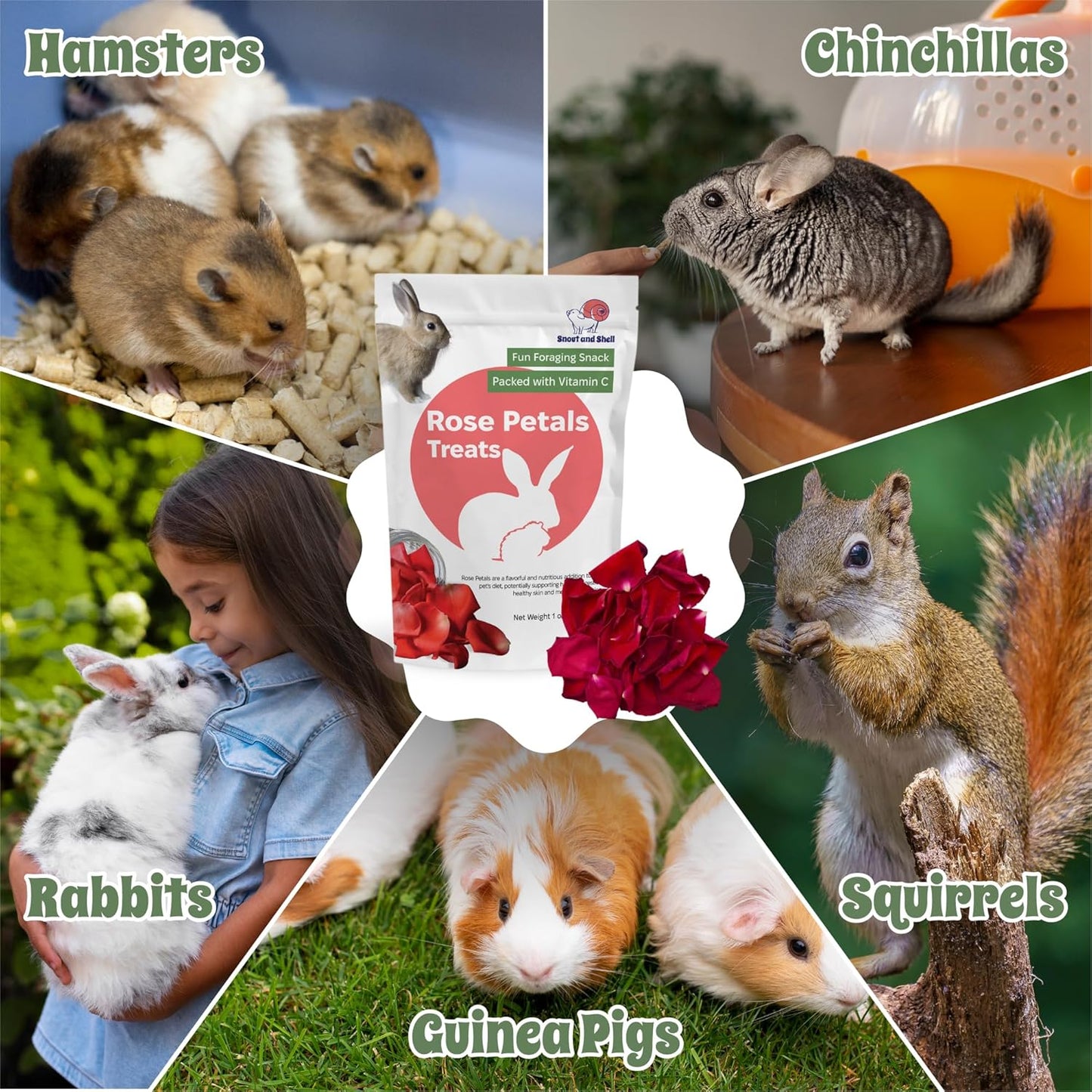 Snout and Shell Rose Petals Treats – Natural Snack for Rabbits, Guinea Pigs & Chinchillas – Vitamin C & Digestive Support, 1 oz