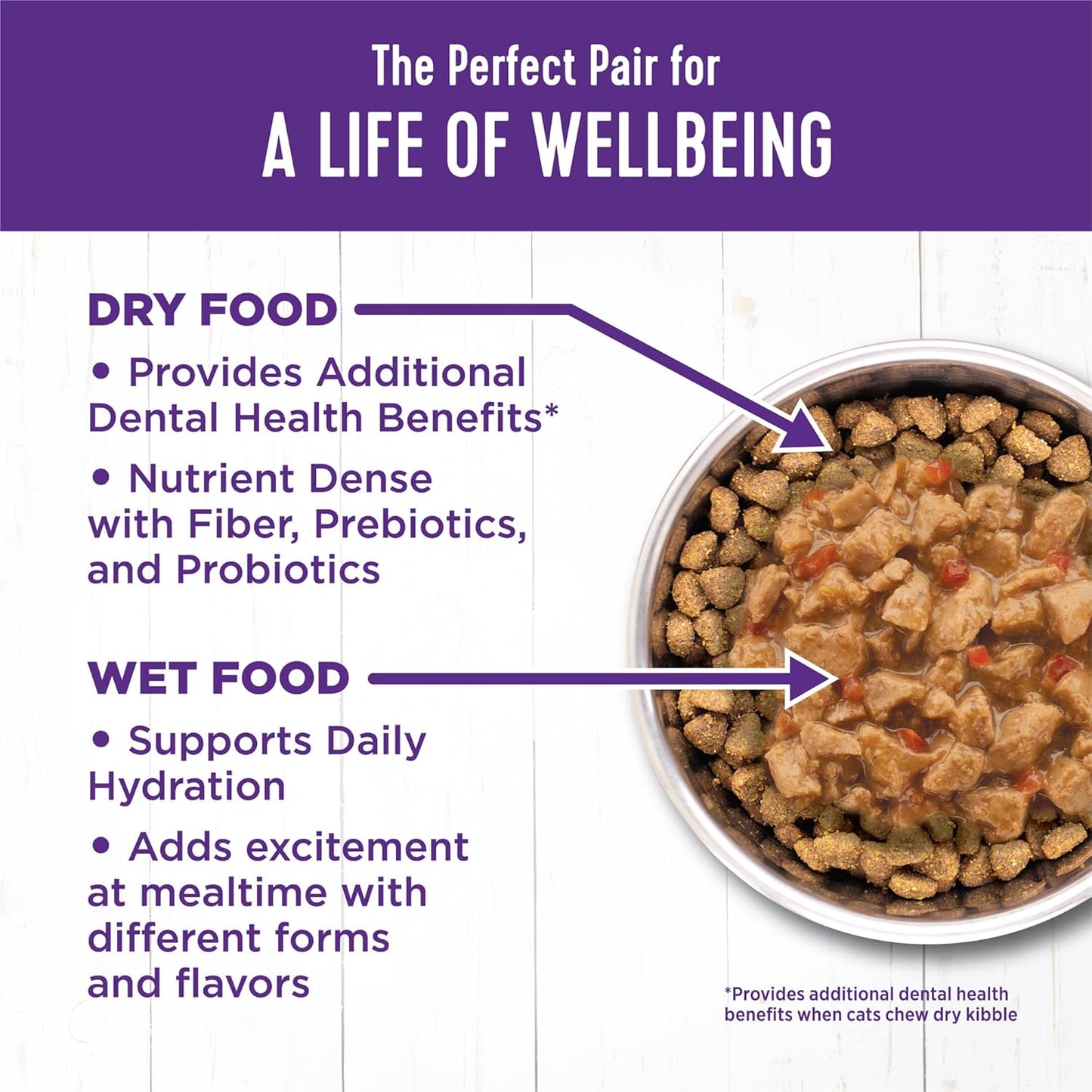 Wellness Complete Health Minced Adult Wet Cat Food, Natural, Protein-Rich, Grain Free, 5.5 Ounce, 24 Pack, (Turkey Entrée)