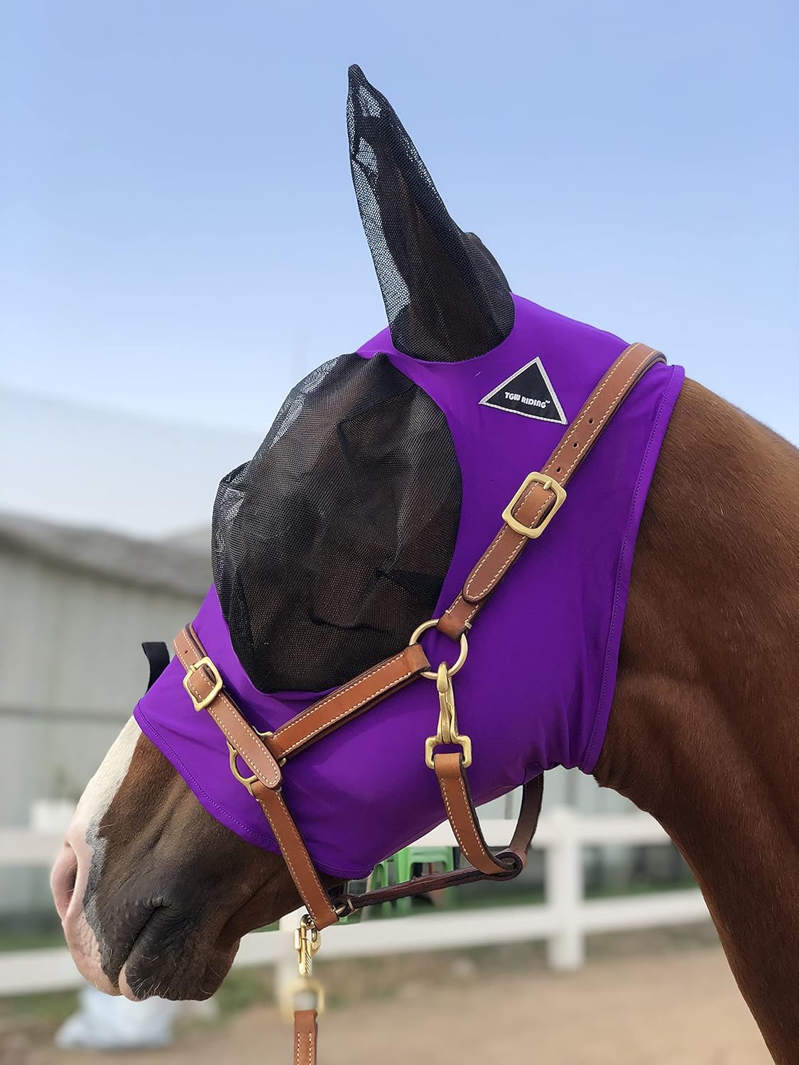 Horse Fly Mask Super Comfort Horse Fly Mask Elasticity Fly Mask with Ears We Only Make Products That Horses Like… (Dk Purple, M)