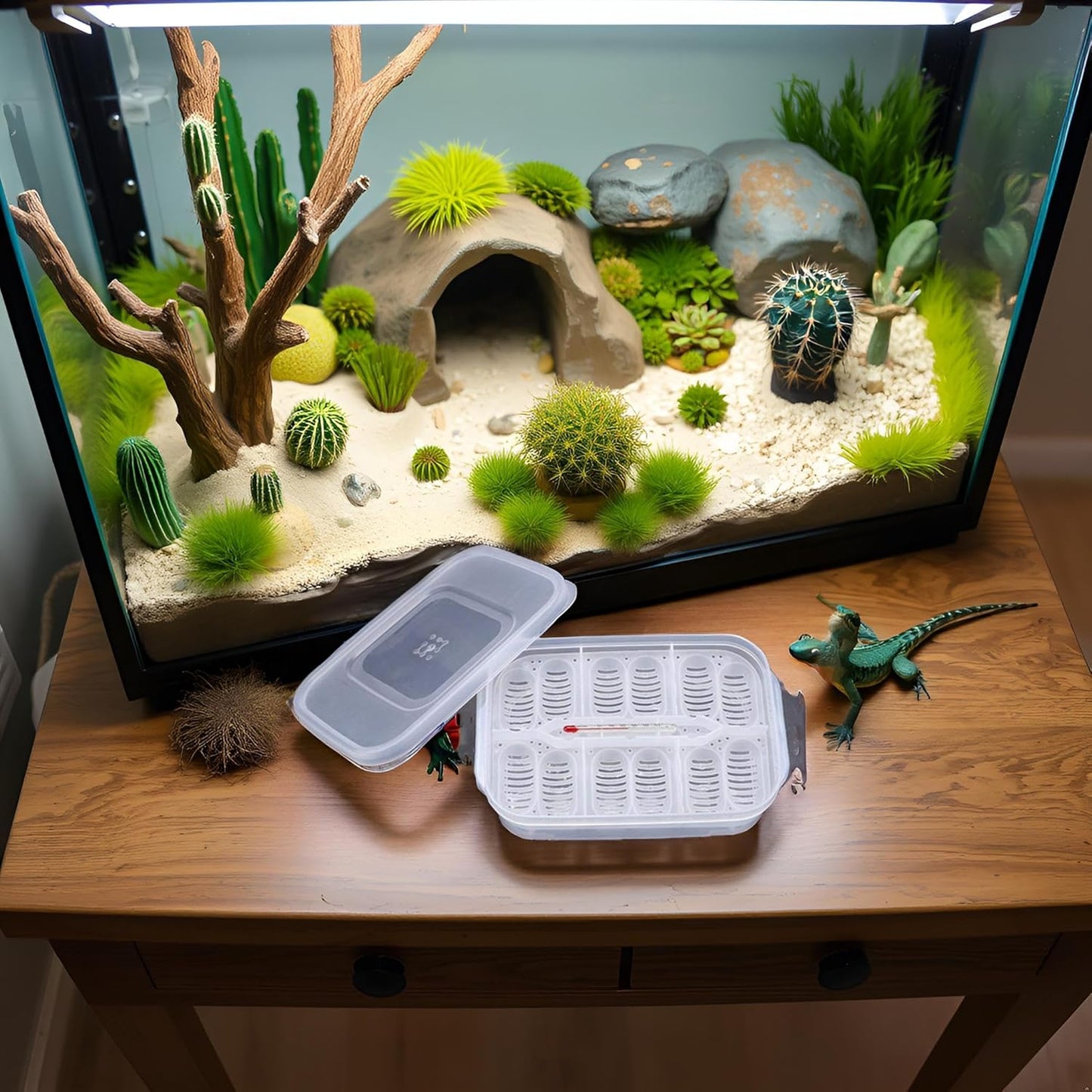 Zerodis Reptile Breeding Box, Plastic Incubator with Transparent Lid for Hatching Gecko, Lizards, Lions Mane, Reptiles