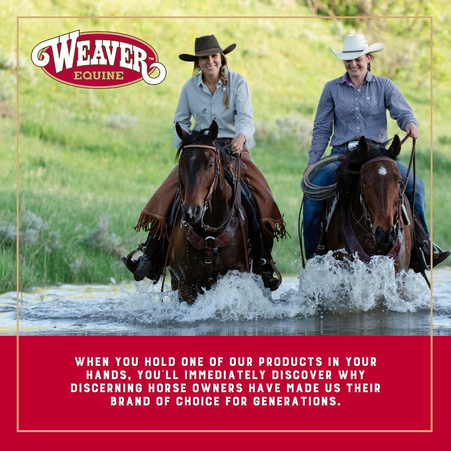 Weaver Leather Nylon Horse Halter, Padded and Adjustable, Chin and Throat Snap Hook Halters for Horses, Brass Plated Halters for Training