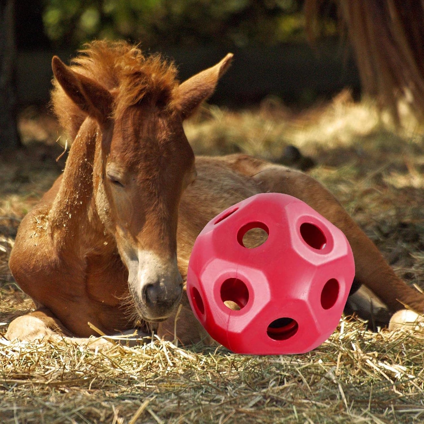 Cute 15.7" Horse Treat Ball, Carrot Feeding Toy Ball Multifunctional Hanging Treat Snack Ball for Horse Stable Stall Paddock Rest, Red