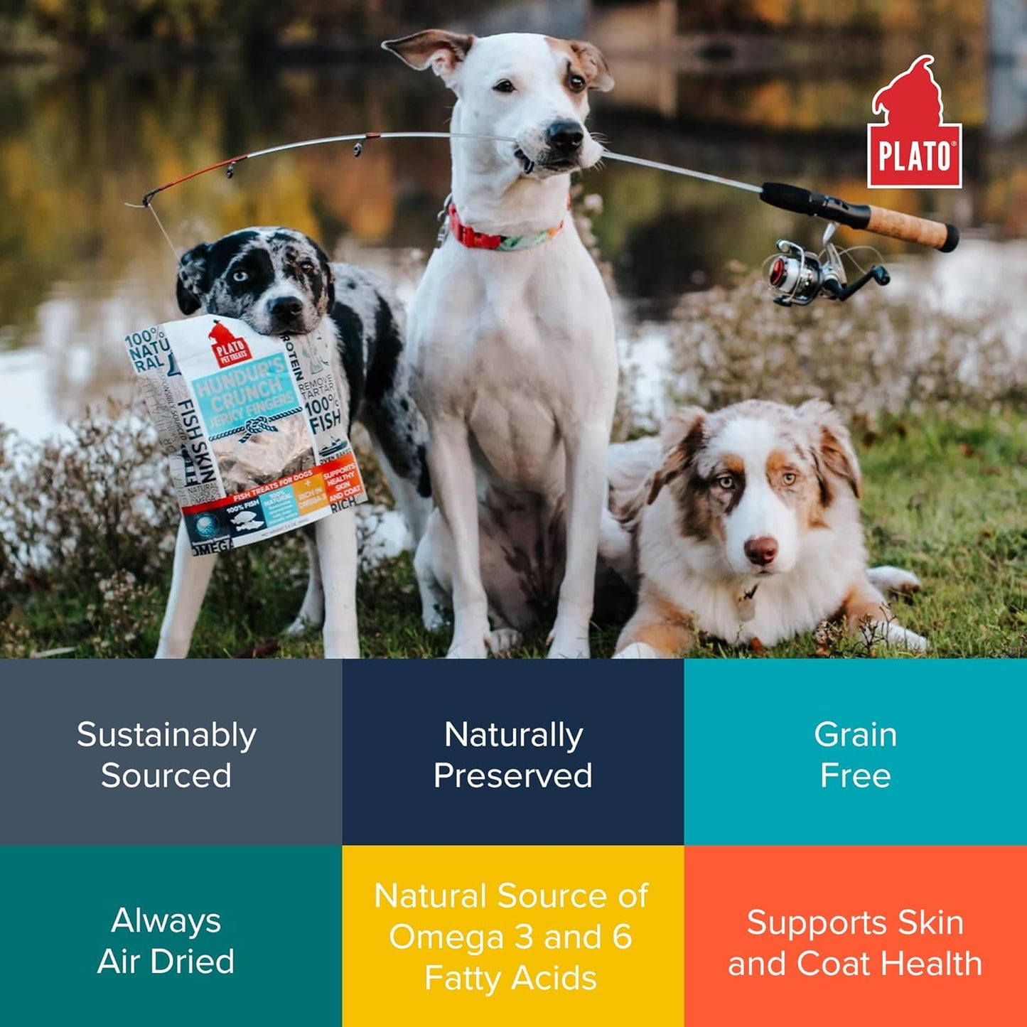 PLATO Hundur's Crunch Jerky Fingers 10oz, Natural