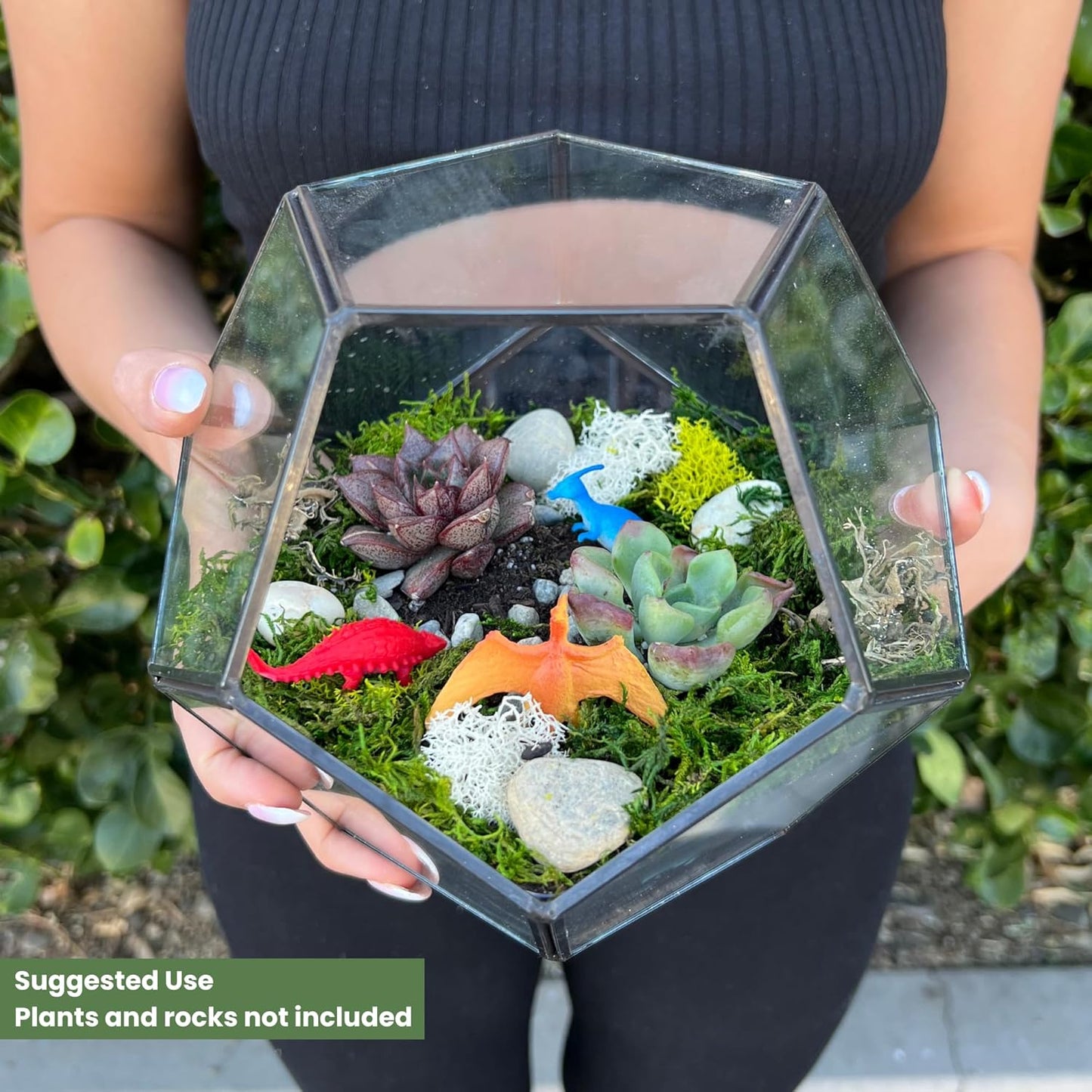 Cute Farms Glass Terrarium Kit | Just Add Your Own Plants (Geometric Glass)