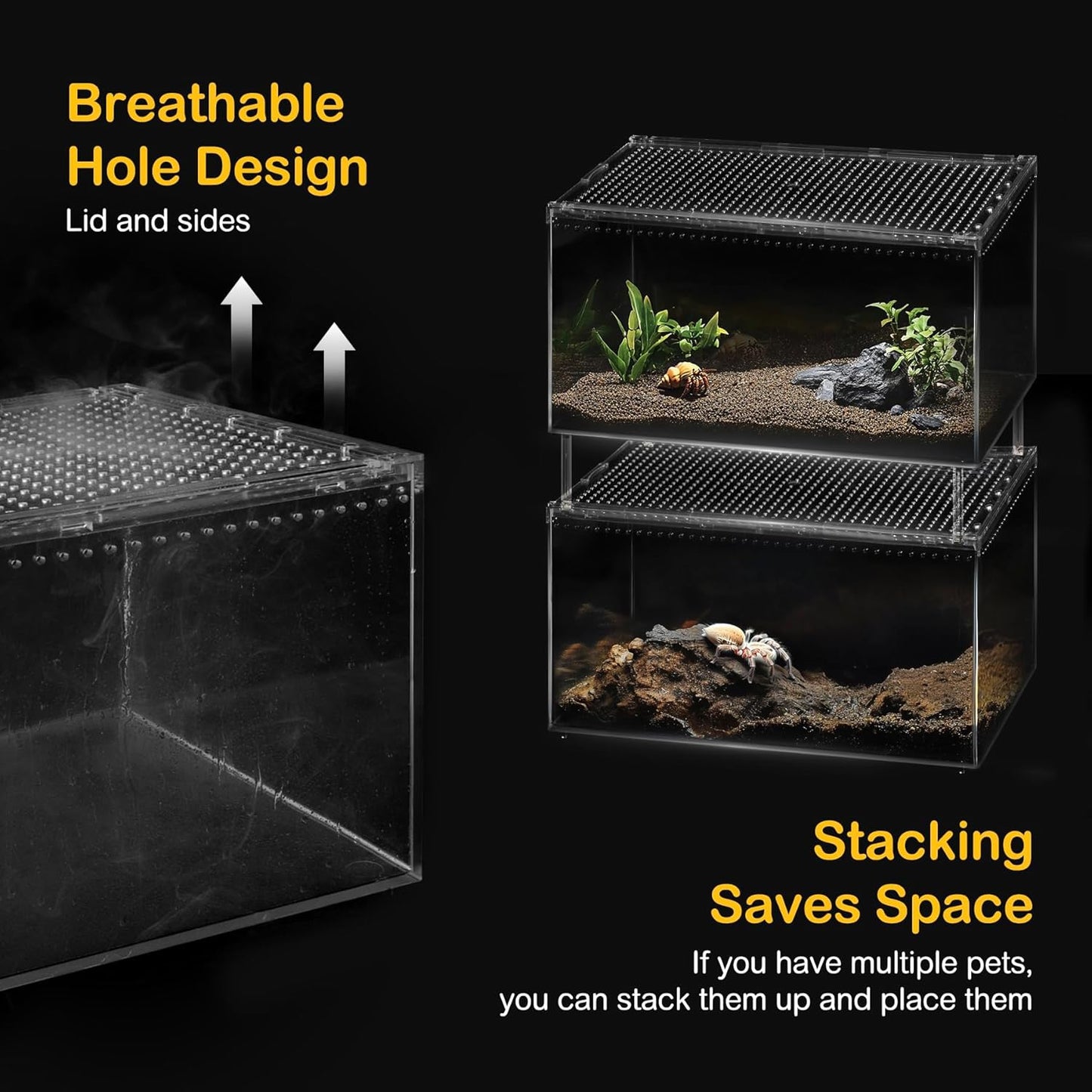Reptile PC Terrarium,Spider Tank Starter Kit, Leopard Gecko Container,Tarantula Cage, Hermit Crab Habitat,Lizard Enclosure,Insect Housing,Jumping Spider Enclosure,Small Bearded Dragon Vivarium