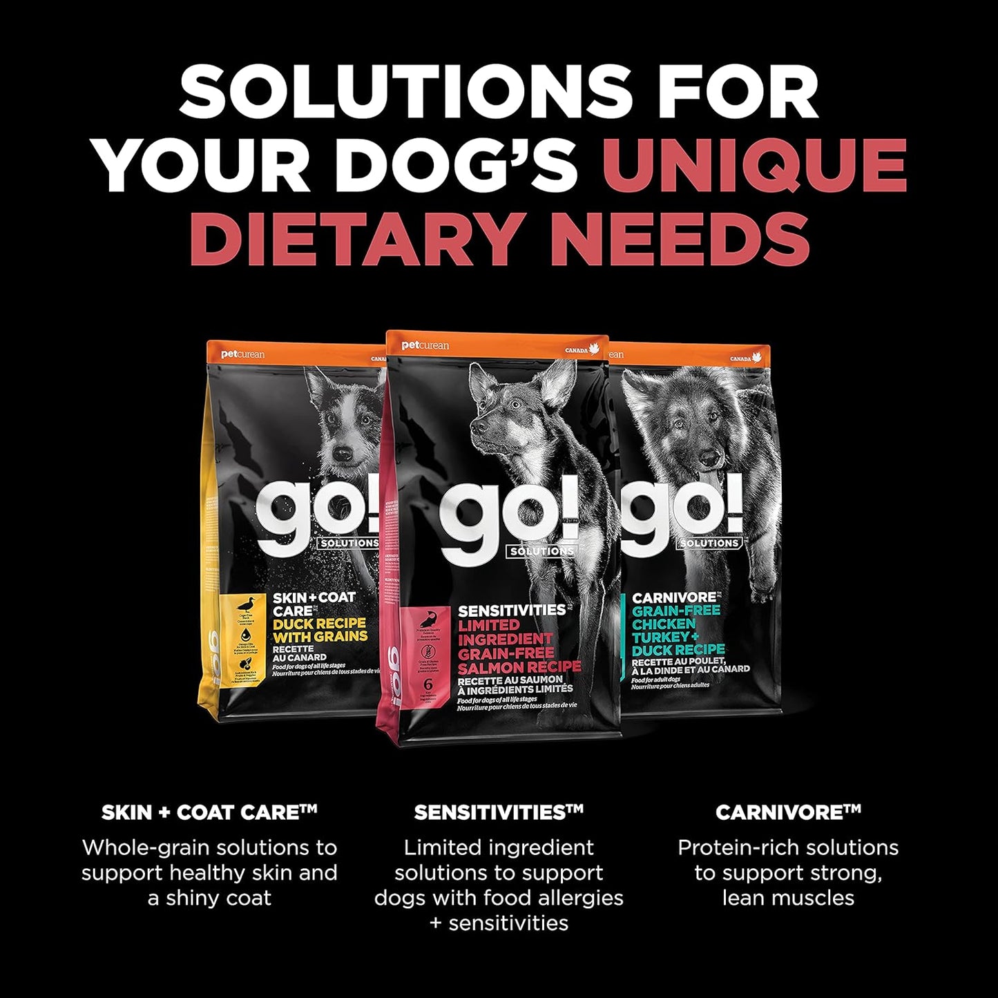 Go! Solutions Sensitivities Limited Ingredients, Grain-Free Dry Dog Food, Salmon Recipe for Sensitive Stomach, 22 lb Bag