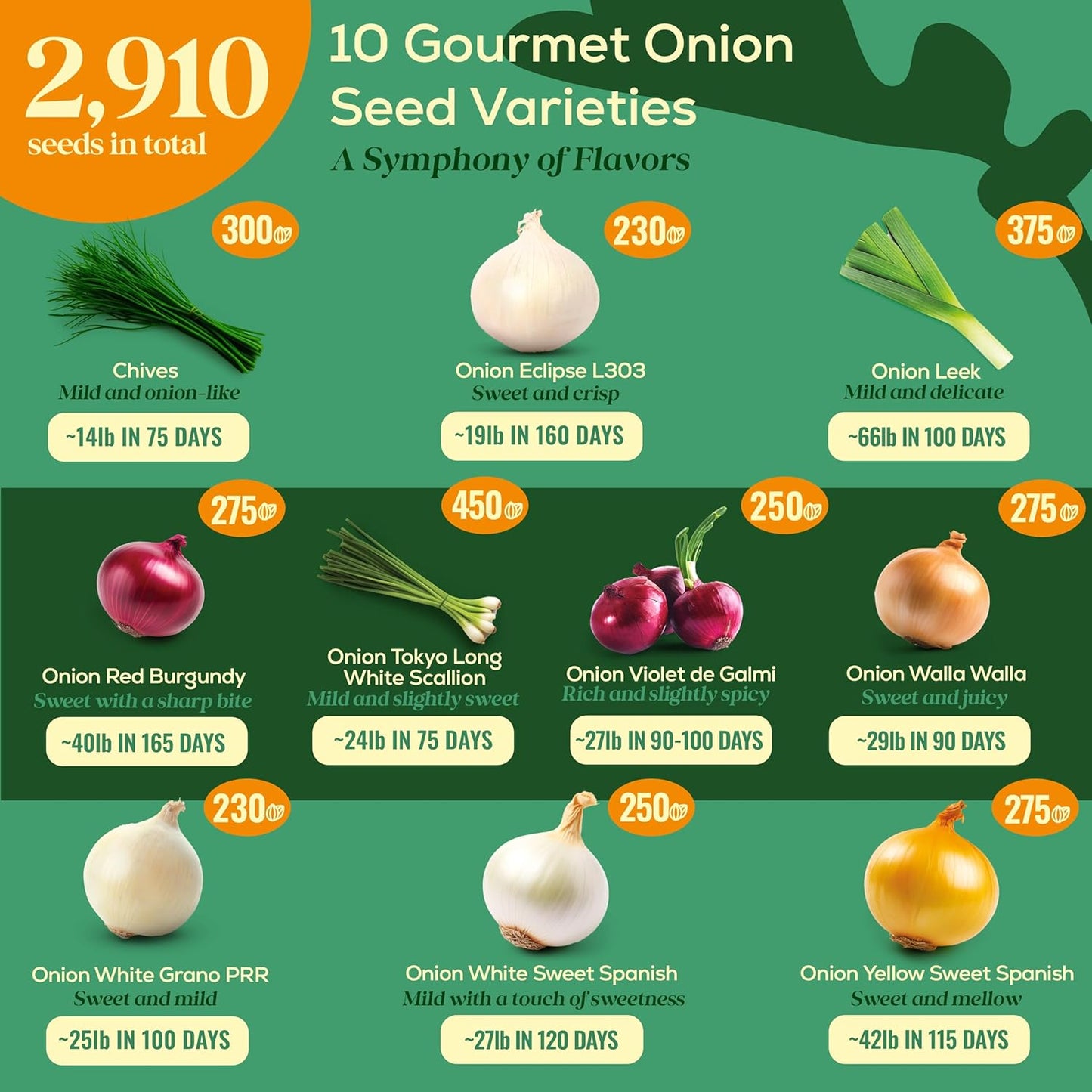 10 Gourmet Onion Seeds for Planting Variety Pack - 2,900+ Non-GMO Heirloom Vegetable Seeds for Growing Indoor & Outdoor: Red Burgundy, Leek, Walla Walla, Grano White & Yellow Sweet Spanish