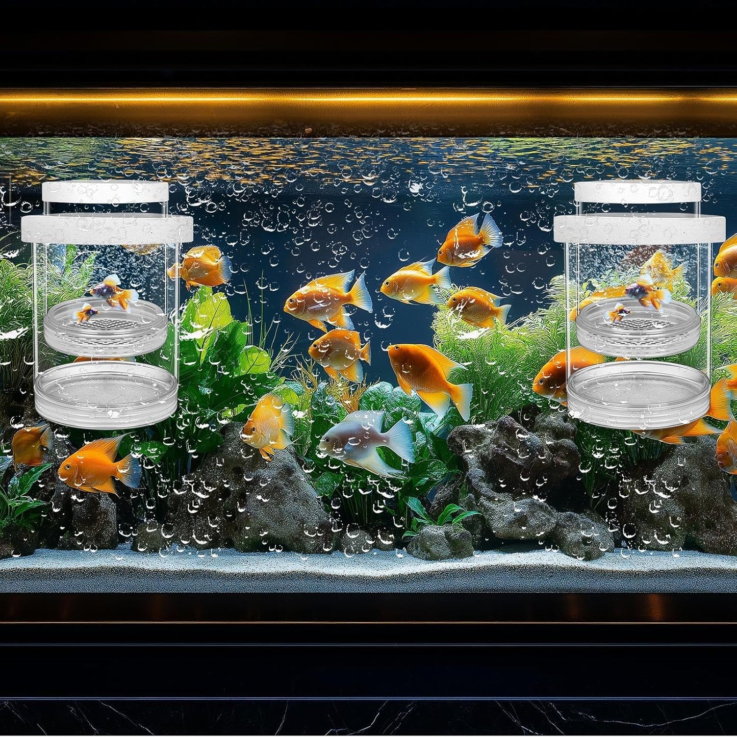 2 Pcs Breeder Box for Fish Tank Aquarium Breeder Separation Net Breeding Box with Suction Cup for Small Fish Shrimp Clownfish Guppy (White,L)