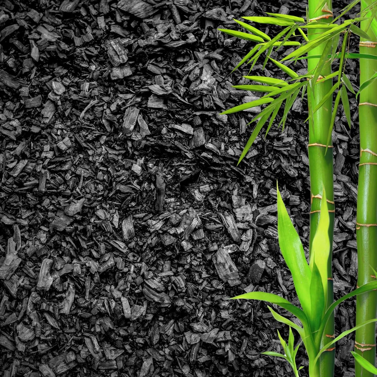 Horticultural Charcoal for Plants ā Organic Bio Char Soil Amendment for Terrariums, Indoor Plants & Gardening, Made in USA (15 quarts)