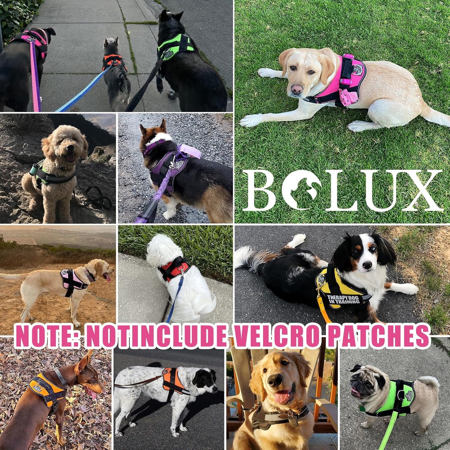 Bolux Dog Harness, No-Pull Reflective Dog Vest, Breathable Adjustable Pet Harness with Handle for Outdoor Walking - No More Pulling, Tugging or Choking (Fuchsia, Small (Pack of 1))