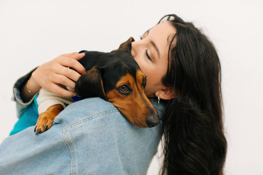 Smart Pet Care! Types of Dog Supplements and How to Give Them 🐶