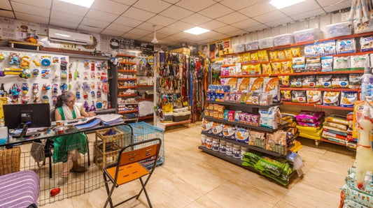 10 Must-Have Dog Accessories Every Pet Parent in the U.S. Needs in 2026