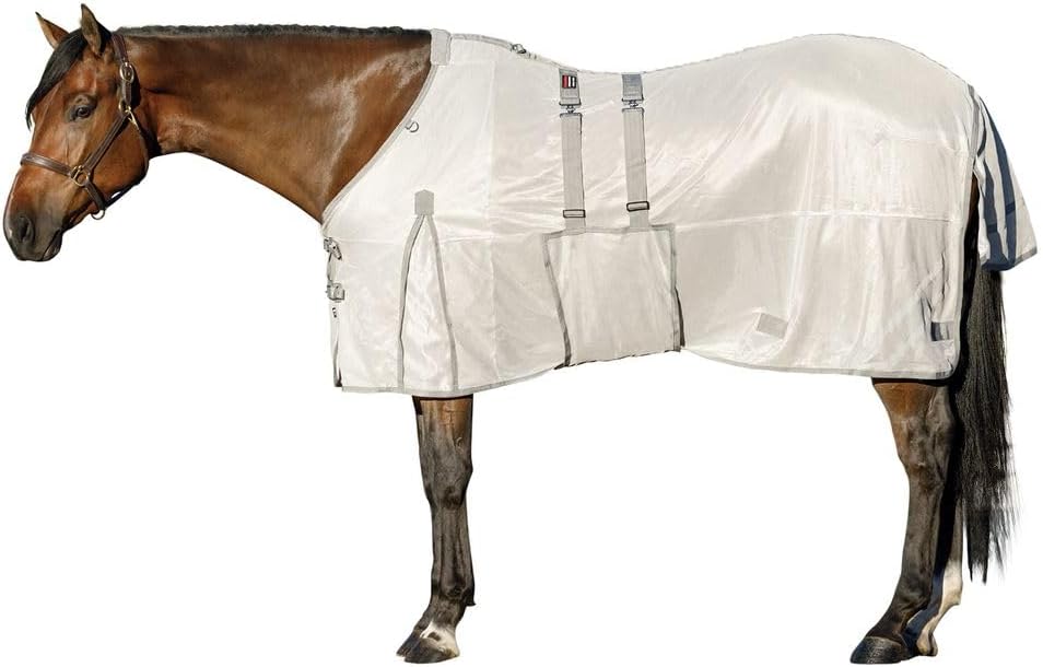 Horse Blankets & Sheets