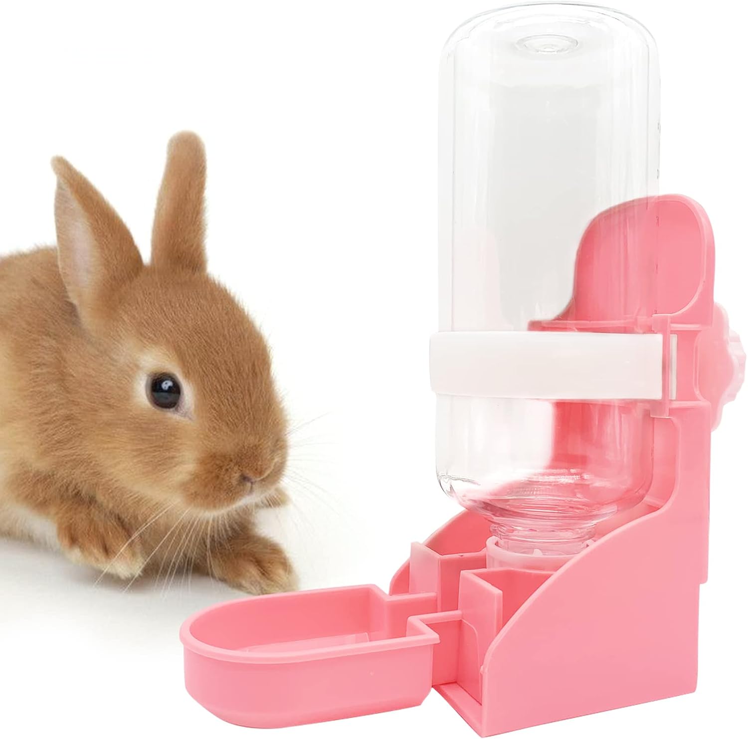 Feeding & Watering Supplies