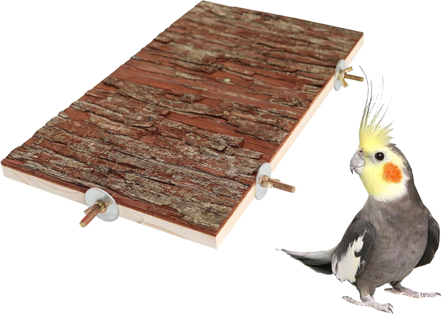 Birdcage Accessories