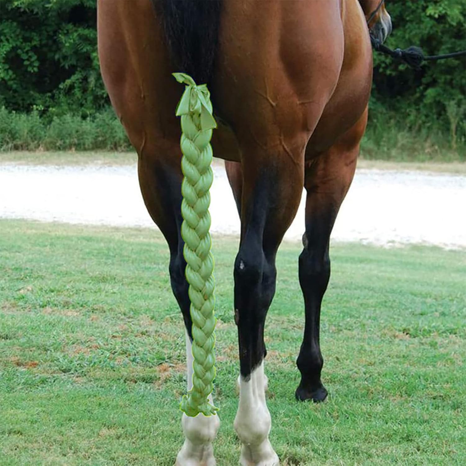 Grooming & Bathing Supplies