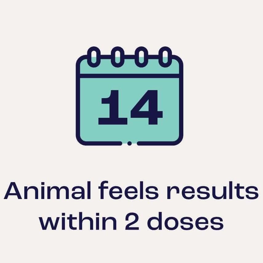 Joint & Mobility Sublingual for Horses, 4pk