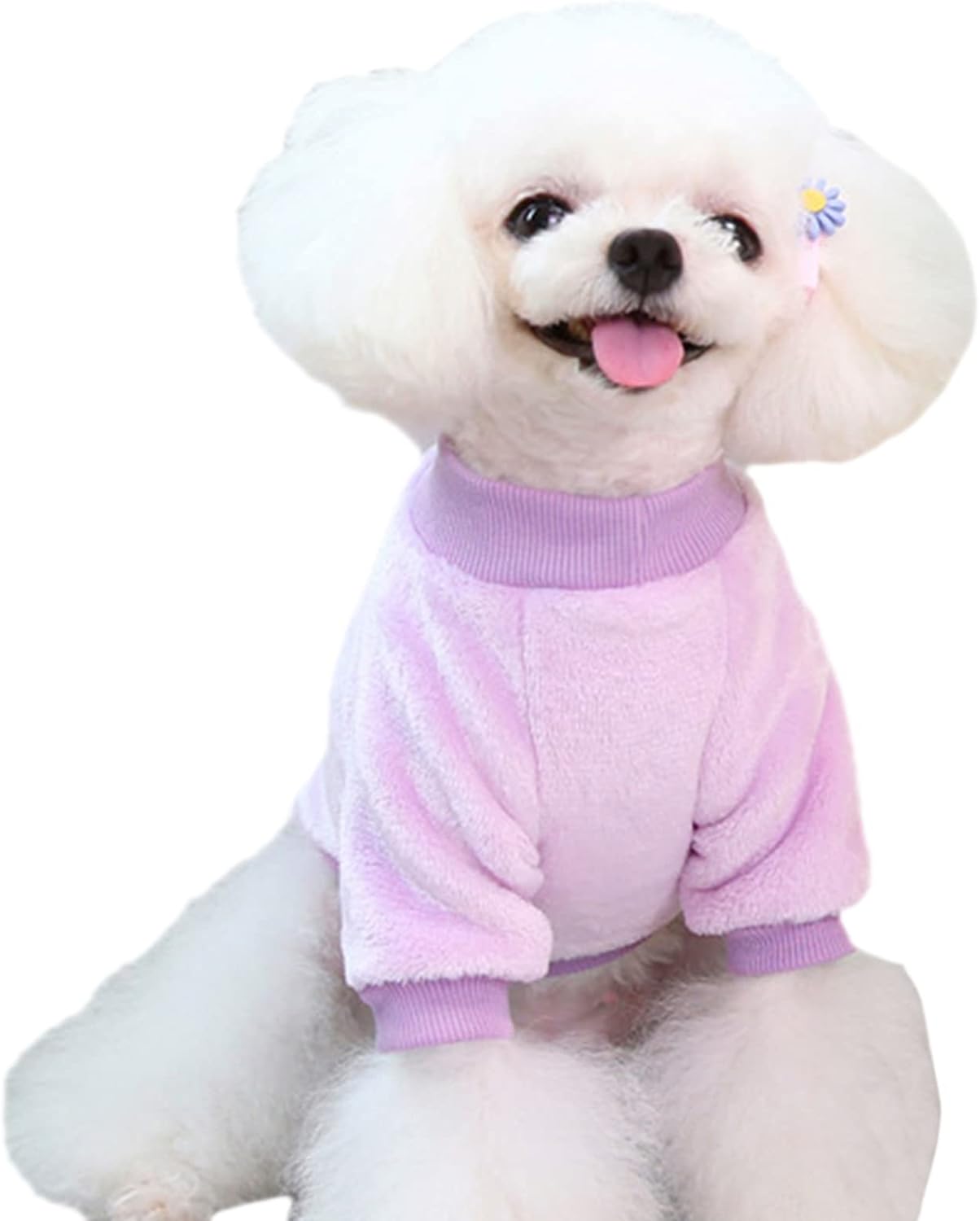 Jecikelon Pet Dog Clothes Dog Sweater Soft Thickening Warm Pup Dogs Shirt Winter Puppy Sweater for Dogs (Z01-Purple, X-Small)
