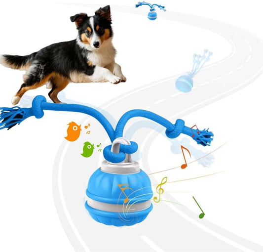 Interactive Dog Toys, Squeaky Dog Toys, Active Rolling Ball for Puppy and Medium Dogs, Squeaky, USB Rechargeable (Blue)